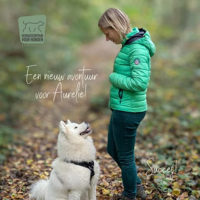 Na een fijne samenwerking slaat Aurelie een nieuwe weg in met haar eigen project, CaniKompas.
Ze zet deze stap vanuit echte gedrevenheid & een eigen visie, en daar hebben we alleen maar respect voor.💛
Veel succes, Aurelie! 🍀