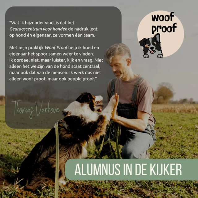 "De wetenschap over hondengedrag… ik ken geen mooiere microbe die zich in mij had kunnen vastbijten. 

Het was meteen raak toen ik op zoek was naar begeleiding voor mijn eigen hond en het Gedragscentrum voor honden op mijn pad kwam. Mijn leergierige zelve moest en zou meer te weten komen over honden. De opleiding Hondengedragsdeskundige was een interessante en leerrijke rollercoaster vol nieuwe inzichten.  Met een open blik en de nodige portie doorzettingsvermogen heb ik de opleiding tot een goed einde gebracht. 

Wat ik bijzonder vind is de nadruk die gelegd wordt op hond én eigenaar. Ze vormen één team en zonder dit team kunnen er geen stappen naar gedragsverandering gezet worden. Soms is zo'n team even het spoor kwijt. Binnen mijn eigen praktijk, Woof Proof help ik hond en eigenaar om dit spoor terug te vinden. 

Samenwerken aan een sterke band staat bij mij centraal. Met veel begrip kijk ik naar elke situatie. Ik oordeel niet, maar luister, kijk en vraag. Een gezin met hond kan soms intens ontwricht zijn, maar tegelijkertijd enorm gedreven om uitdagingen aan te pakken. Niet alleen het welzijn van de hond staat dan centraal, maar ook dat van de mensen. Ik werk dus niet alleen woof proof, maar ook people proof."

- Thomas Vanhove, @woof.prf