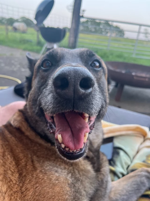 Voor wie het nodig heeft… Als wij een slechte dag hebben, sturen we deze foto’s van Thaica naar elkaar. Crisis opgelost! 😂 (Maar ze blijft het mooiste meisje 🥰)